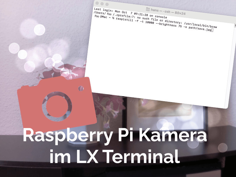 Raspberry Pi Kamera steuern | Electreeks®