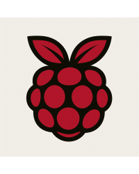 Raspberry Pi
